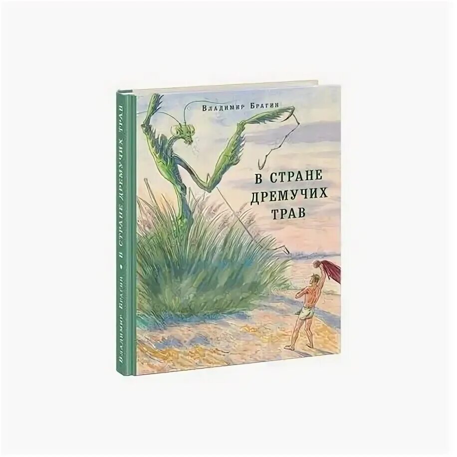 В стране дремучих трав. Брагин в стране дремучих трав обложка книги. В стране дремучих трав книга. Книжка брагина в стране дремучих трав. Книга в стране дремучих трав брагин.