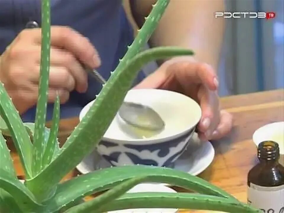 Капает капли в нос. Алоэ от насморка можно. Алоэ капать в нос. Каланхоэ лечебное от насморка. Алоэ сок 50мл.
