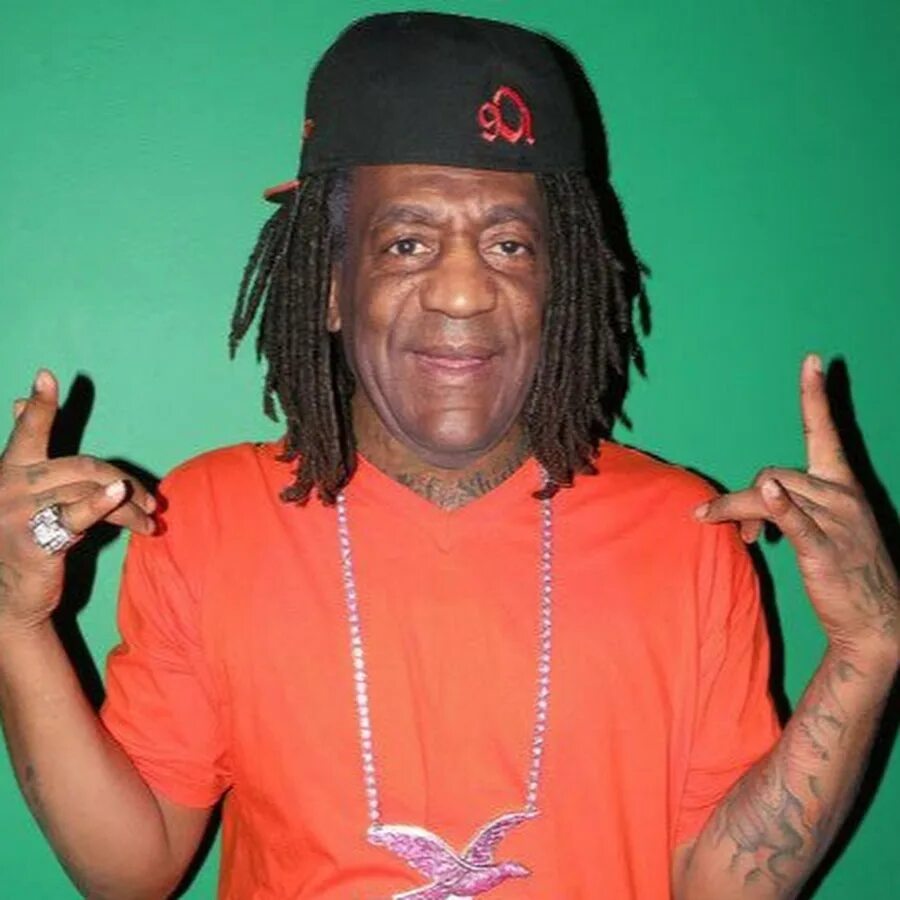 Waka official. Waka official