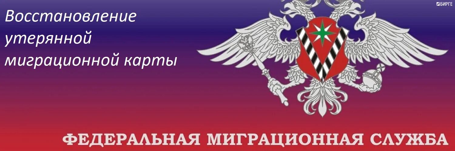 Мир миграционная служба. Фмс картинки. федеральная миграционная служба россии. фмс эмблема. логотип миграционные услуги.