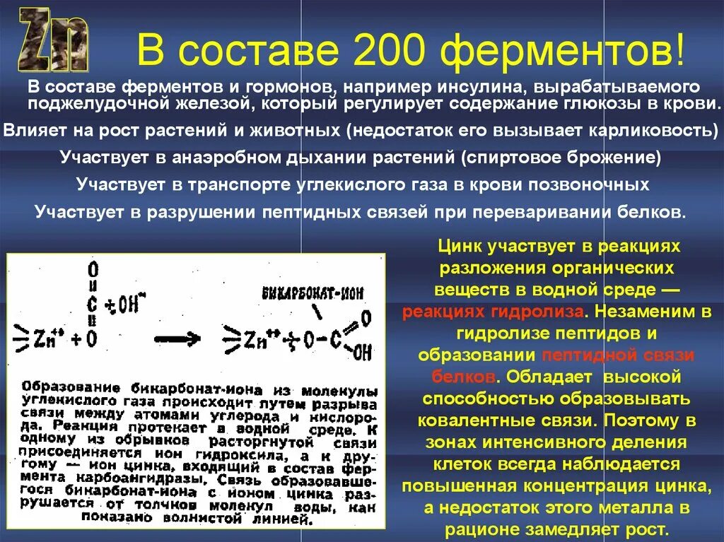 Цинк в ферментах. Ферменты содержащие цинк. Ферменты в которые входит цинк. Из чего состоят ферменты.