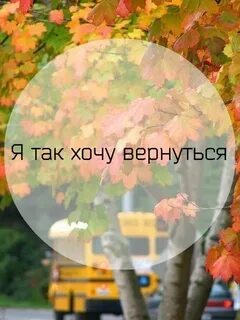 Плюс песни май май май