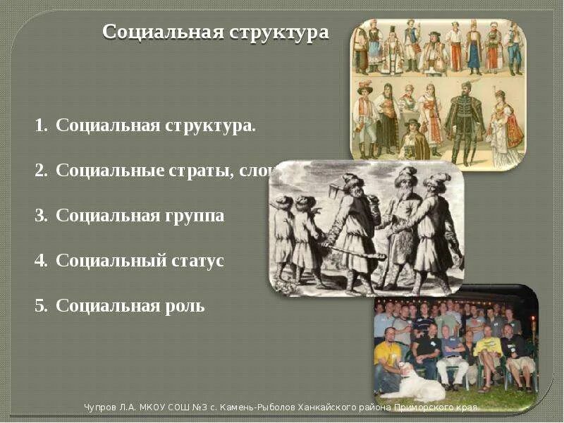 Социальная структура и ее функции. Социальная структура фото. социальная структура картинки.