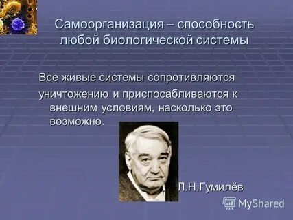 Механическое движение живых самоорганизующихся систем