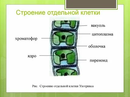 Отдельный строение