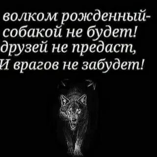 Друзья враги и предатели
