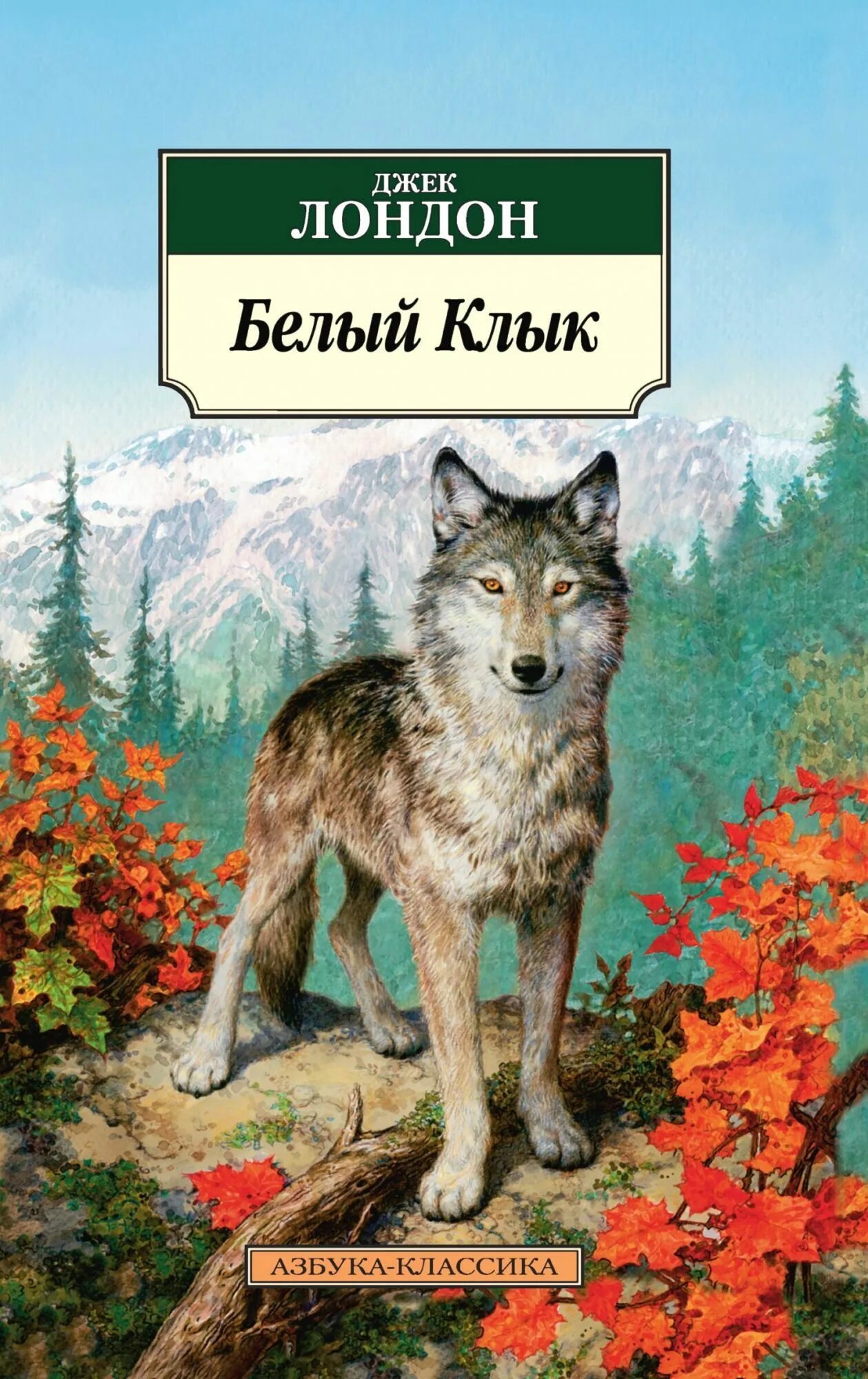 Читать книгу клык. Джек лондон &quot;белый клык&quot;. книга белый клык (лондон джек). белый клык. лондон дж.. автор джек лондон белый клык.