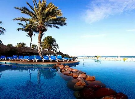 Sunsol punta blanca