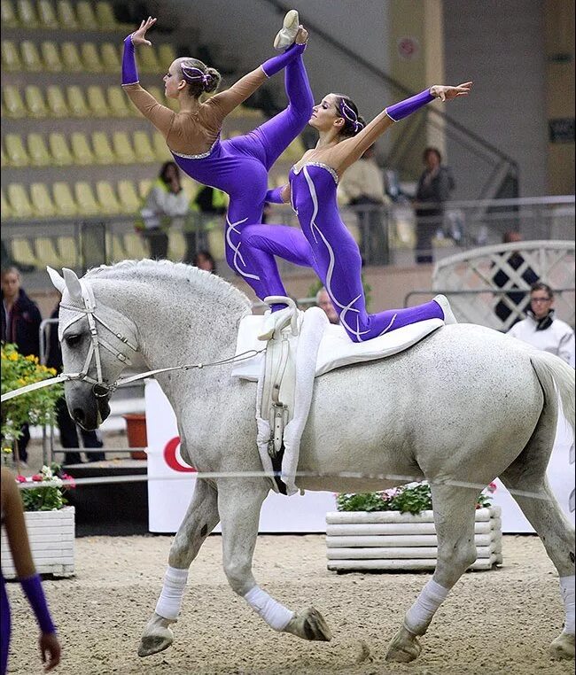 Horse sport. Вольтижировка на лошади. Вольтижировка. Конная вольтижировка. Вольтижировка конный спорт упражнения.