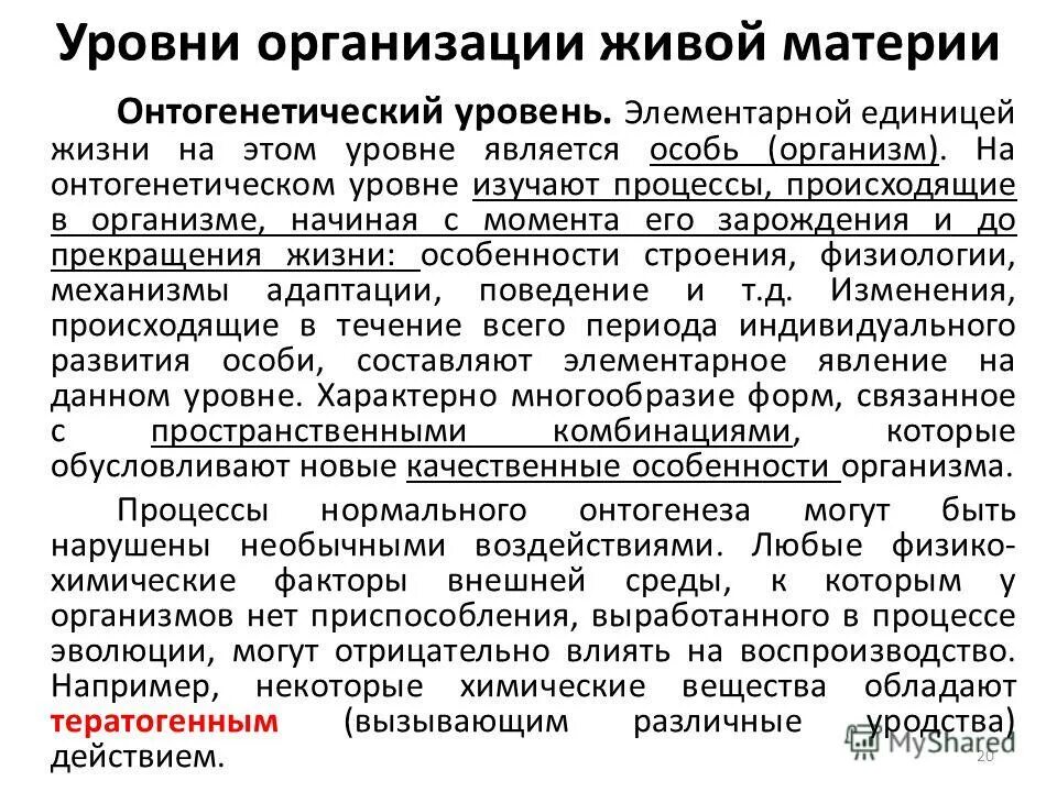 Единицей жизни является. Онтогенетический уровень организации жизни. Уровни организации живой материи.