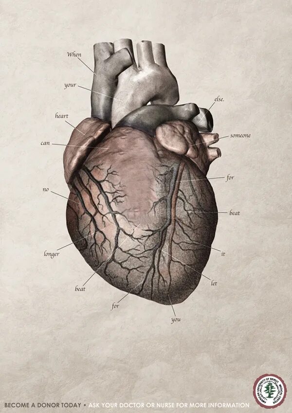 Большое сердце произведение. Деревянное человеческое сердце. Человеческое сердце в руке.