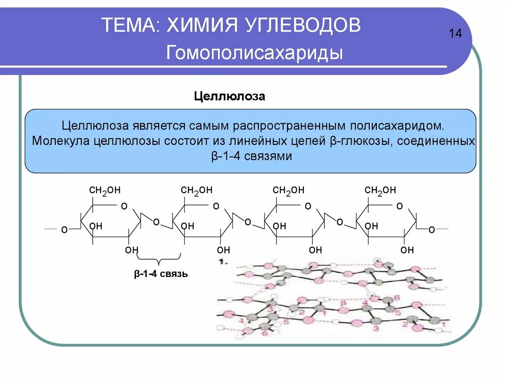 Урок углеводы 10 класс химия. Строение углеводов химия 10 класс. Линейные формулы углеводов. Общая формула углеводов химия 10 класс. Химия ЕГЭ общая формула углеводов.