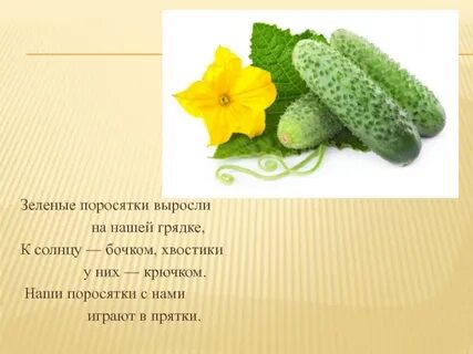 Наши поросятки выросли на грядке