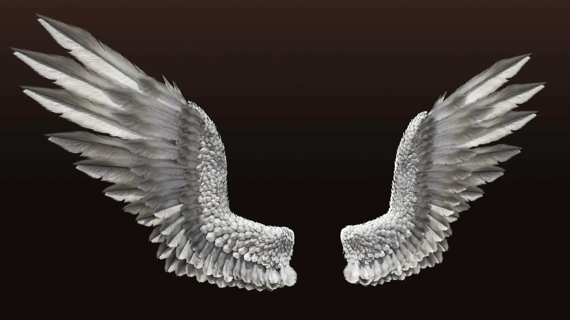 Крылья ангела Zbrush. Крылья для фотошопа. Красивые Крылья. Крылья STL. Крылья на черном фоне
