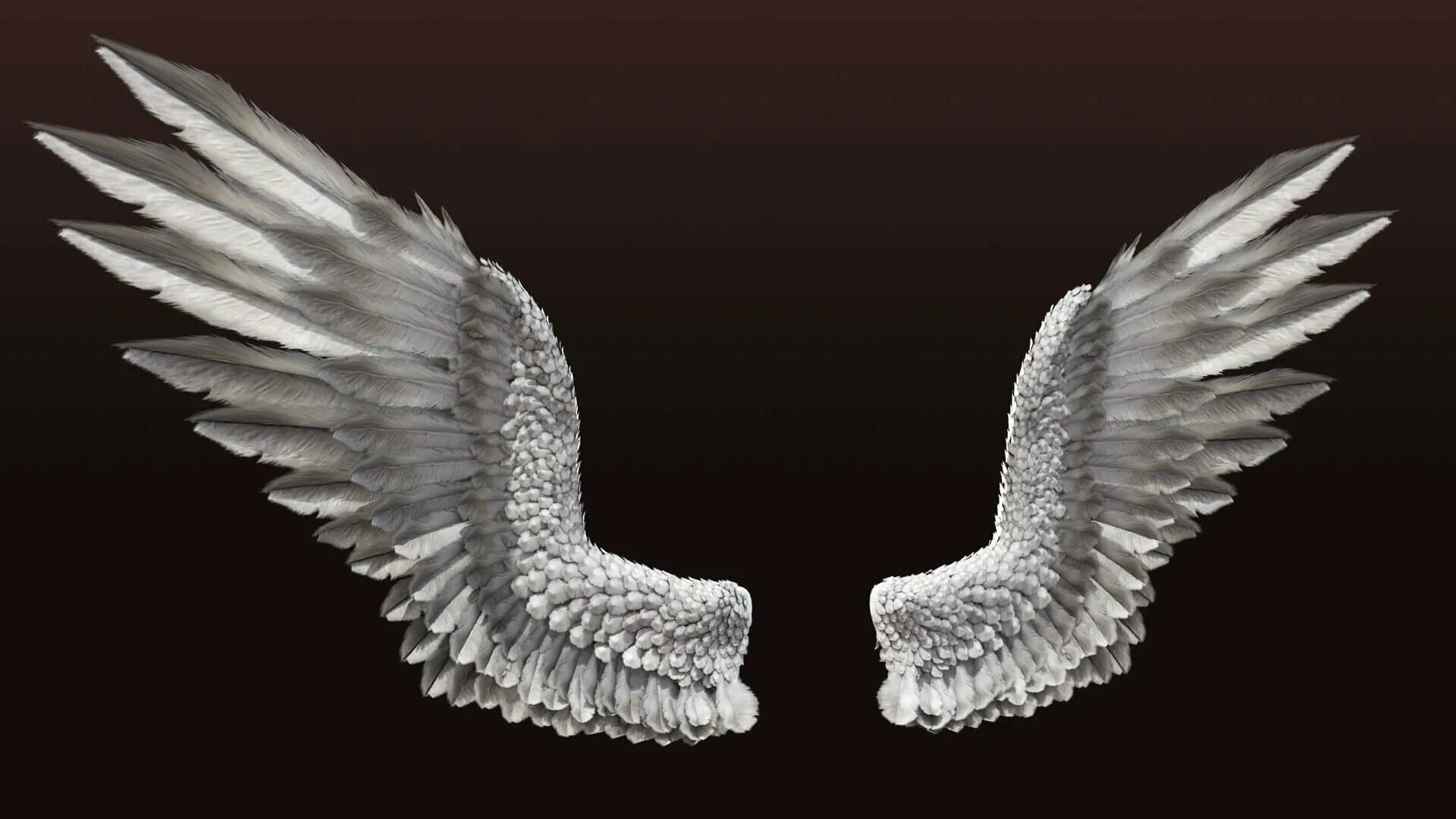 Белые 3 крылья. Крылья ангела zbrush. красивые крылья. крылья для фотошопа. крылья stl.