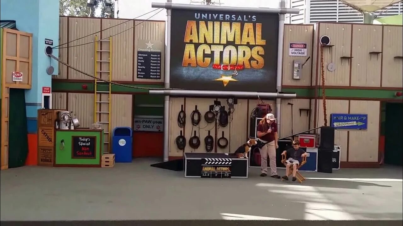 Энимал Студиос. Universal’s animal actors. Actor Universal Studios. Animal Studio фулл.