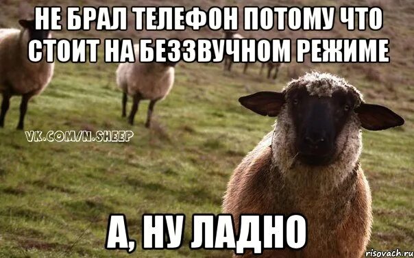 Наивная овца мемы. Ты меня не хочешь. Ну ладно я пошутил