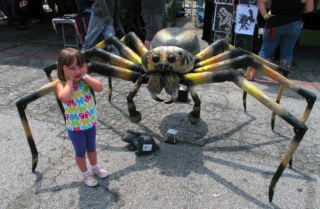 Giant Huntsman Spider. Самый большой паук. Самый гигантский паук в мире. Огромный Тарантул. Про огромных пауков