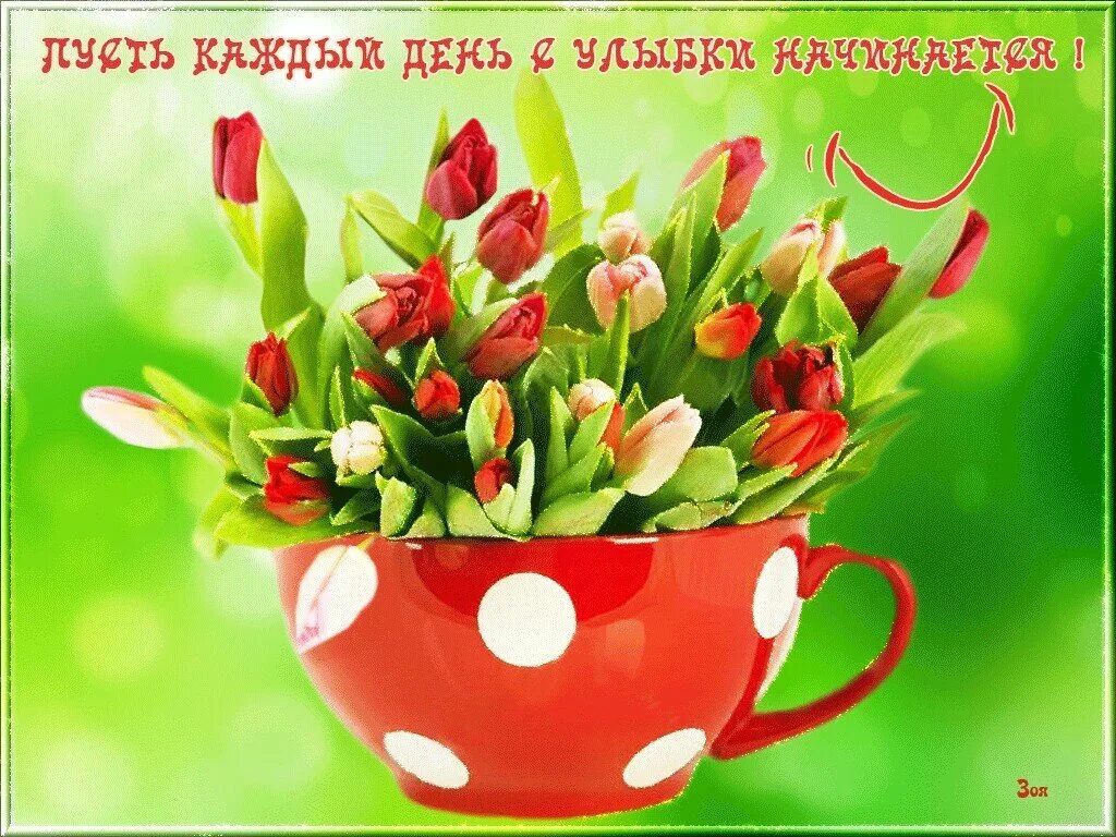 Всего хорошего в новый день. Тюльпаны открытка. Пожелание доброго весеннего утра. Открытки с тюльпанами красивые. Открытки доброе утро весенние.
