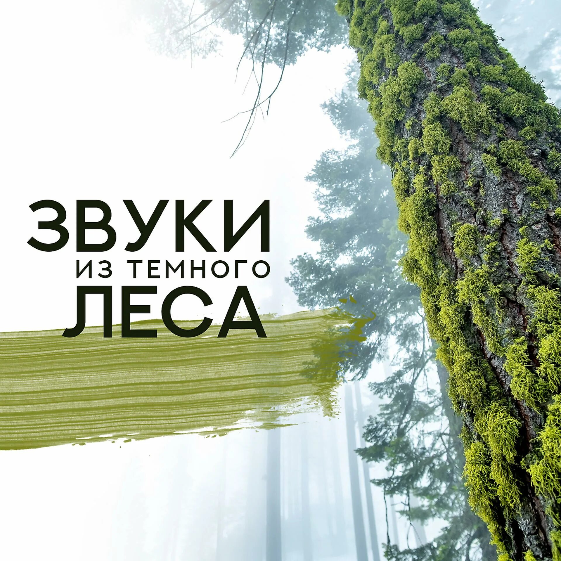 Relax project
