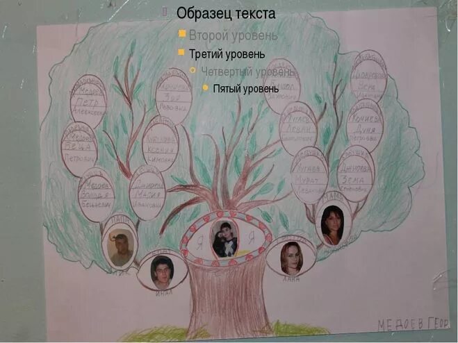 Проект родственники. Проект по окружающему миру 2 класс генеалогическое древо семьи. проект по окружающему миру 2 класс родословная. генеалогическое древо проект 2 класс окружающий мир проект. окруж мир 2 класс родословная.