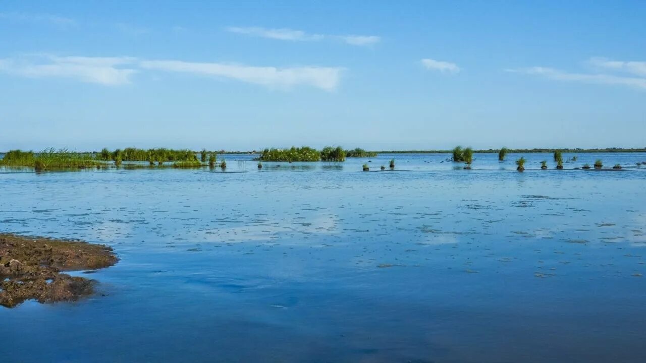 Какие реки впадают в ханку. Какие реки впадают в ханку