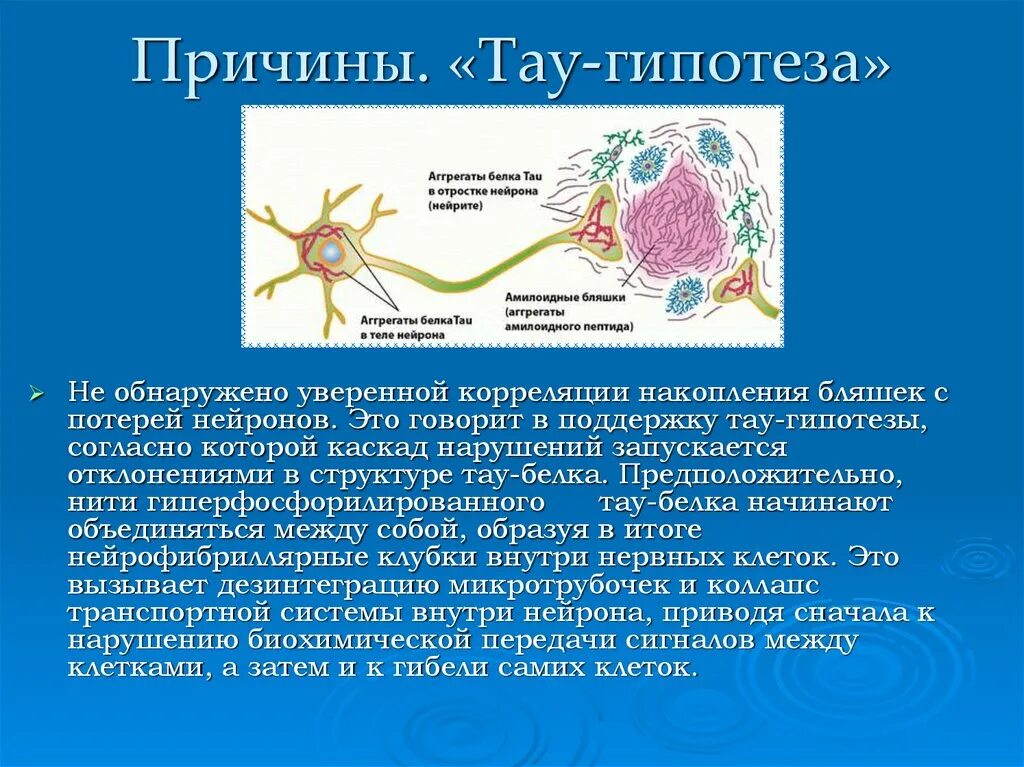 Тау гипотеза гипотеза болезни Альцгеймера. Амилоидные Тау белки. Тау белки болезнь Альцгеймера. Болезнь Альцгеймера амилоидные бляшки.