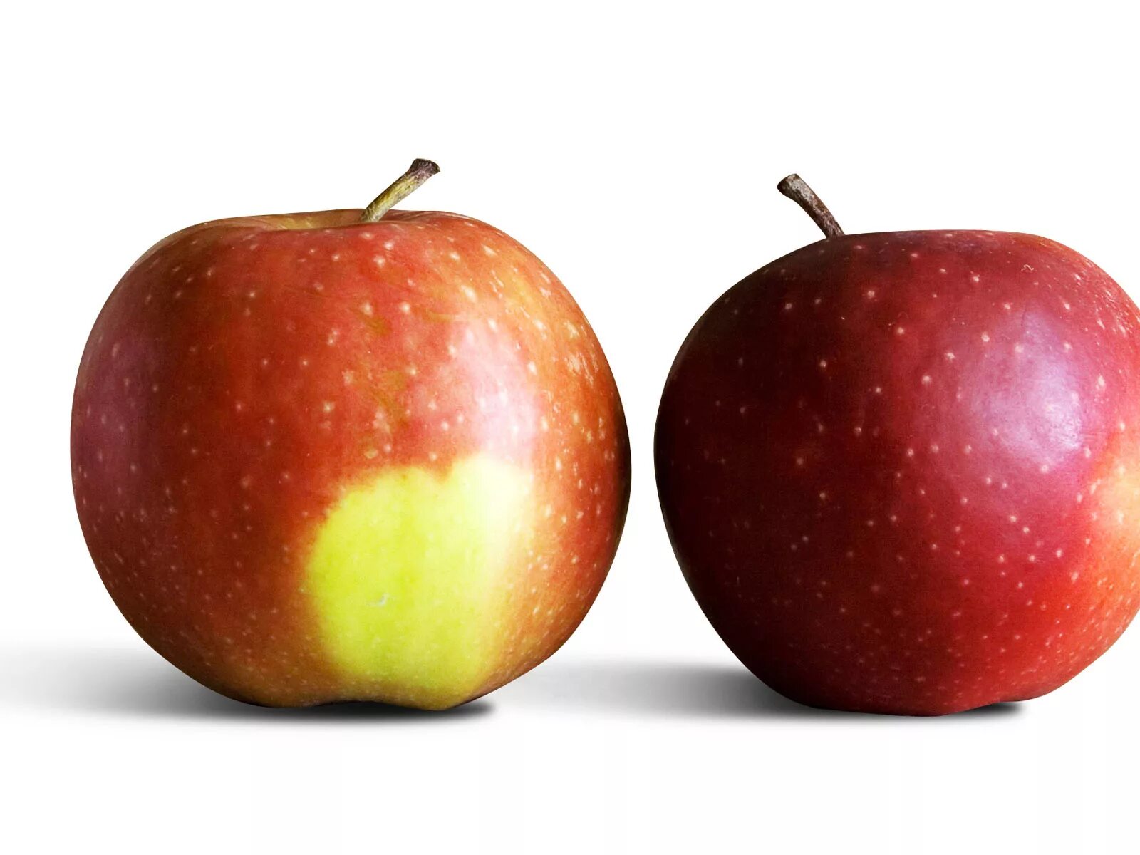 2 яблока. Два яблока. Два яблока на белом фоне. Яблоки 2 шт. Два красных яблока.