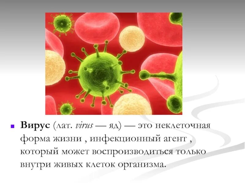 Вирус является живым организмом. Вирусы неклеточные формы. Форма жизни вирусов. Неклеточные формы жизни. Не клеточная форма жизни.