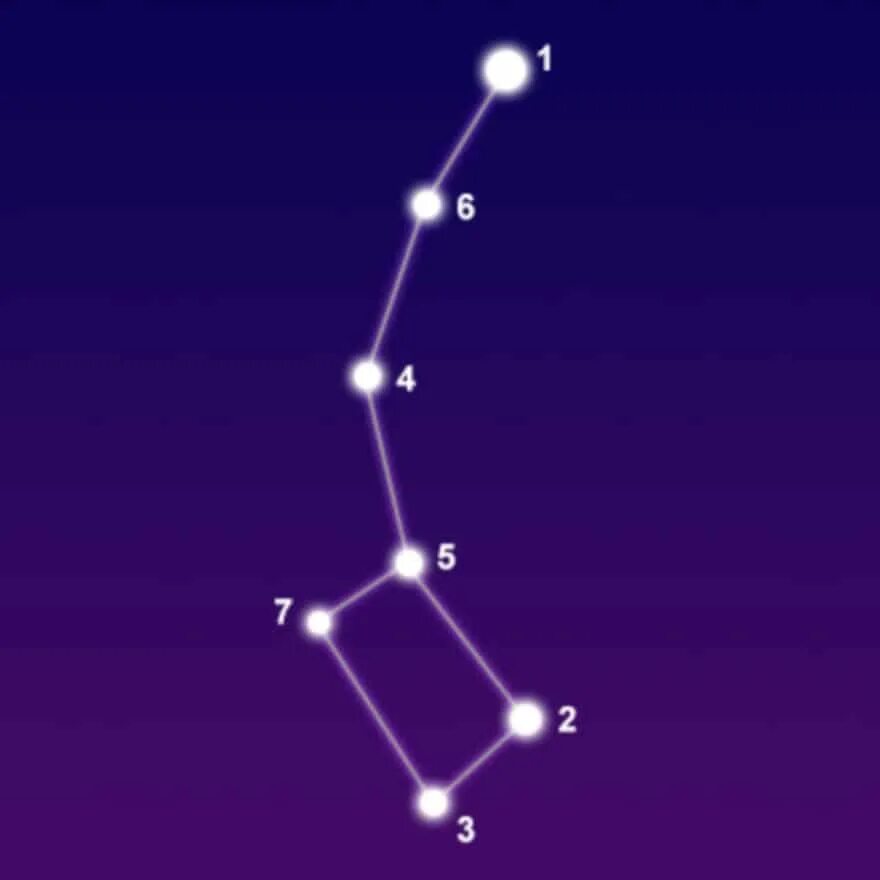 Созвездие constellation 2024. Малая Медведица Созвездие. Созвездие ковш малой медведицы. Малая Медведица Созвездие и Полярная звезда схема. Полярная звезда, самая яркая звезда, Созвездие малая Медведица.