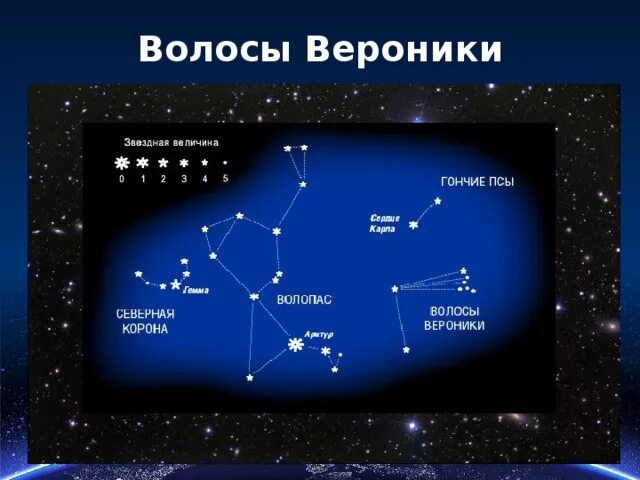 Презентация звездное небо весной 2 класс. Созвездие волосы Вероники. Созвездия весеннего неба волосы Вероники. Волосы Вероники Созвездие на небе. Созвездие волосы Вероники на карте звездного неба.