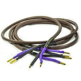 Oval plus