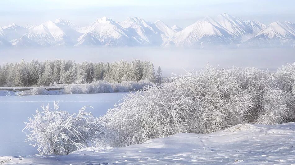 белоснежная зима картинки. большого белого зима. белая зима авторы. иней на деревьях. белоснежные зимние пейзажи.