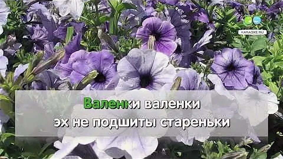 Валенки песня караоке. Валенки текст. Валенки караоке. Валенки песня караоке. Валенки песня караоке.