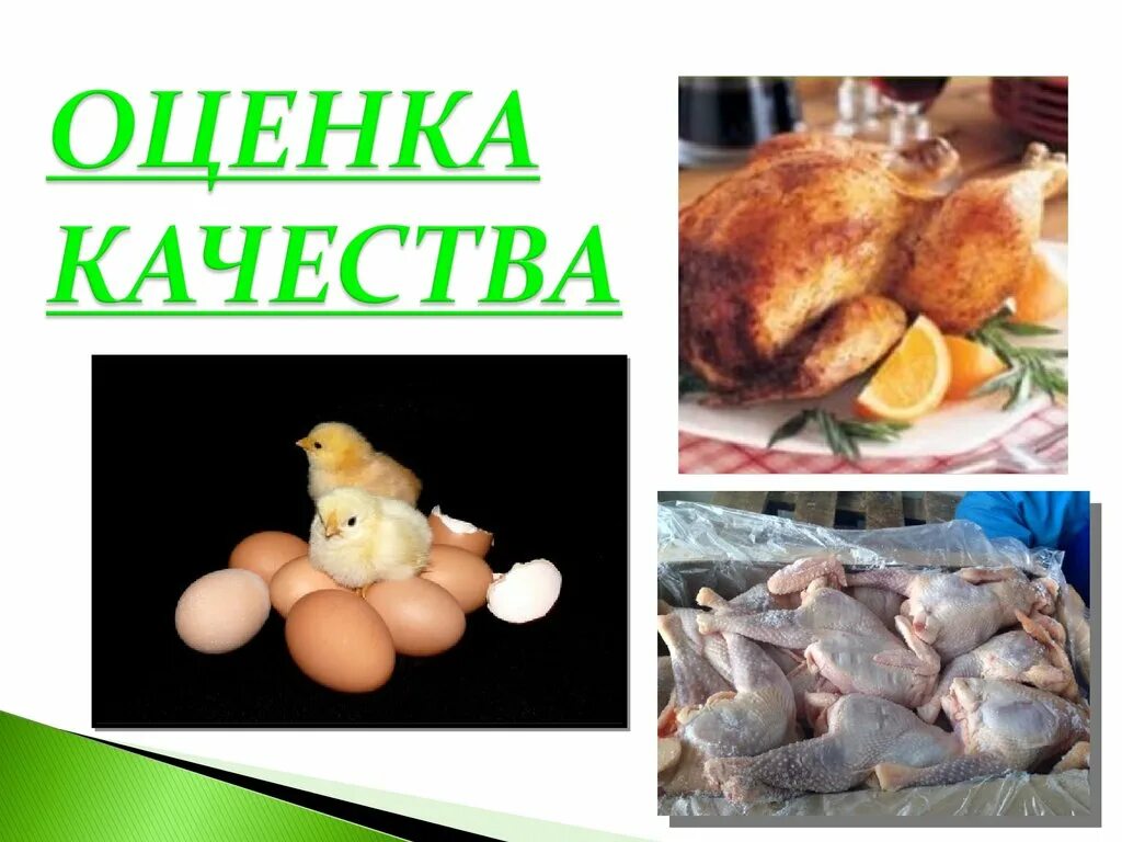 Мясо птицы 8 класс. Ветеринарно-санитарная экспертиза мяса птицы. ветсанэкспертиза мяса птицы.