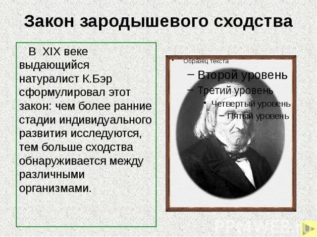 Сформулировал закон зародышевого. Сформулировал закон зародышевого. Сформулировал закон зародышевого. Карл бэр эмбриологические доказательства. Сформулировал закон зародышевого.