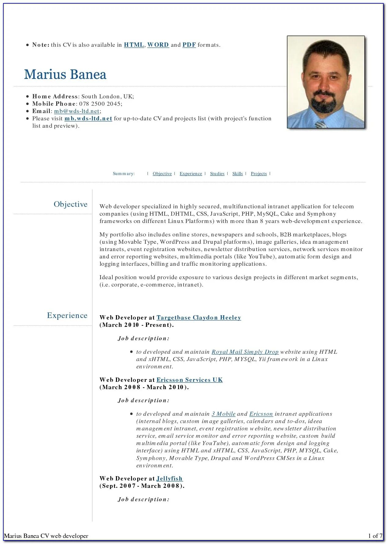Пример резюме java. Резюме программиста. cv programmer. пример хорошего резюме программиста phyton. резюме джава тестера.
