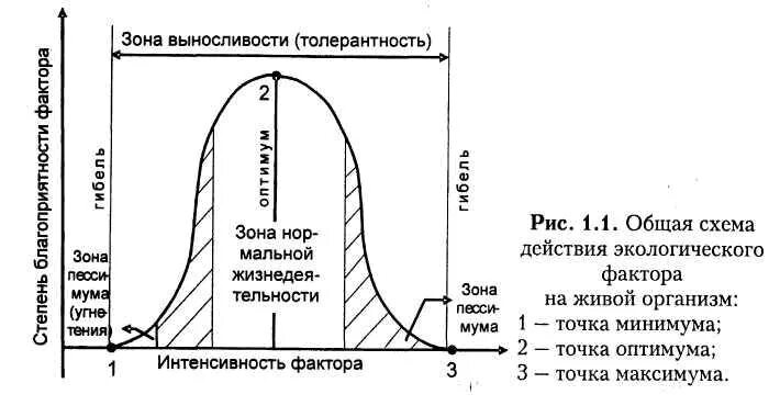Зона выносливости организмов. Зона выносливости организмов. Оптимум и пессимум экология. Экологические факторы оптимум. Зона угнетения.