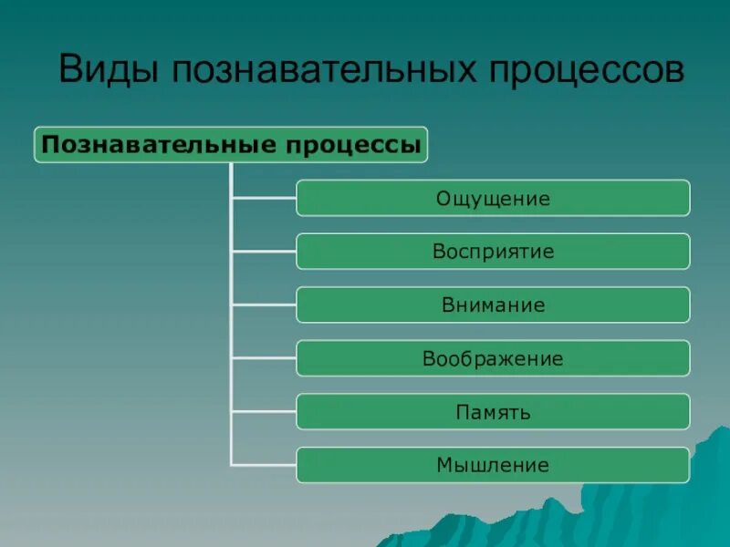 8 познавательных процессов. Познавательные процессы. Опознавательные процессы. Виды познавательных процессов. Позаваткльныепроцессы.