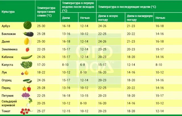 Какая температура нужна томатам. Таблица температур для выращивания рассады. Таблица температур для рассады овощей. Температура высадки рассады в открытый грунт. Таблица рассады овощей для высадки в грунт.