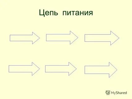 Схема питания тайги 4 класс окружающий