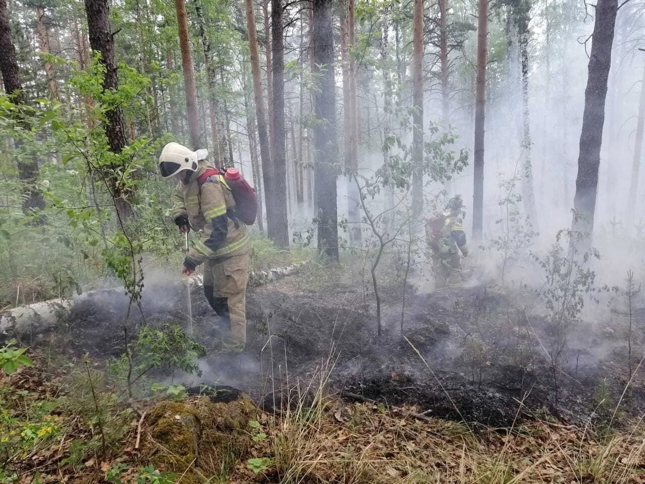 Лесные пожары в Свердловской области 2021. Тушение лесных пожаров. Лесные пожары МЧС. Тушение огня в лесу. Ущерб от пожара третьим лицам