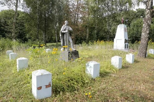 Деревня плоты. Деревня сухие плоты тульская область. сухие плоты тульская. тульская обл сухие плоты. деревня большие плоты тульская область.