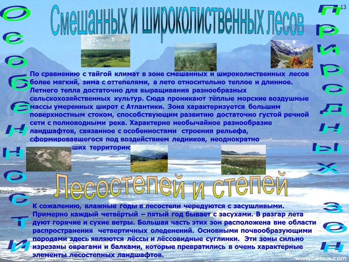 Ограничения и преимущества проживания в тайге. Что для комфортного проживания в тайге. Ограничения и преимущества для комфортного проживания людей. Хозяйственная деятельность широколиственных лесов. Сформулируйте ограничения и преимущества для ведения сельского