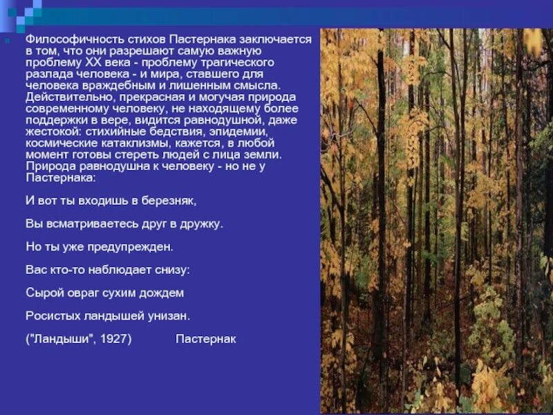 Ночь пастернак тема. Стихотворение Бориса Леонидовича Пастернака про природу. Природа в поэзии Пастернака. Тема природы Пастернак.