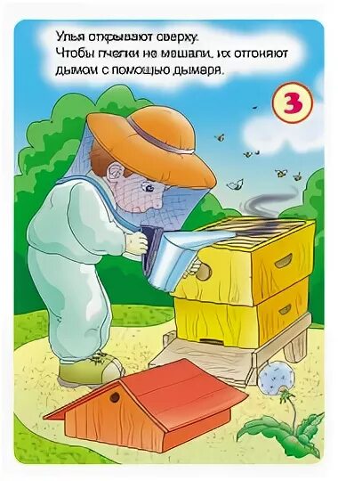 Книжка проект 2 класс про профессию пчеловод Животноводство в нашем крае презентация для начальной школы