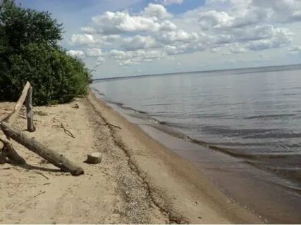 Прогноз погоды в троицком вологодской