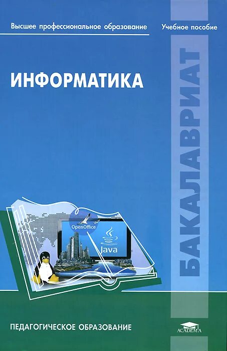 Информатика образовательная область. Информатика в вузе. Методические пособие по информатике для вуза. Педагогика Информатика. Учебник по информатике для вузов.