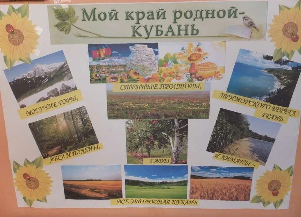 Родной край выборы. Плакат родной край. Плакат на кубанскую тему. Стенгазета родной край. Родной край Кубань.