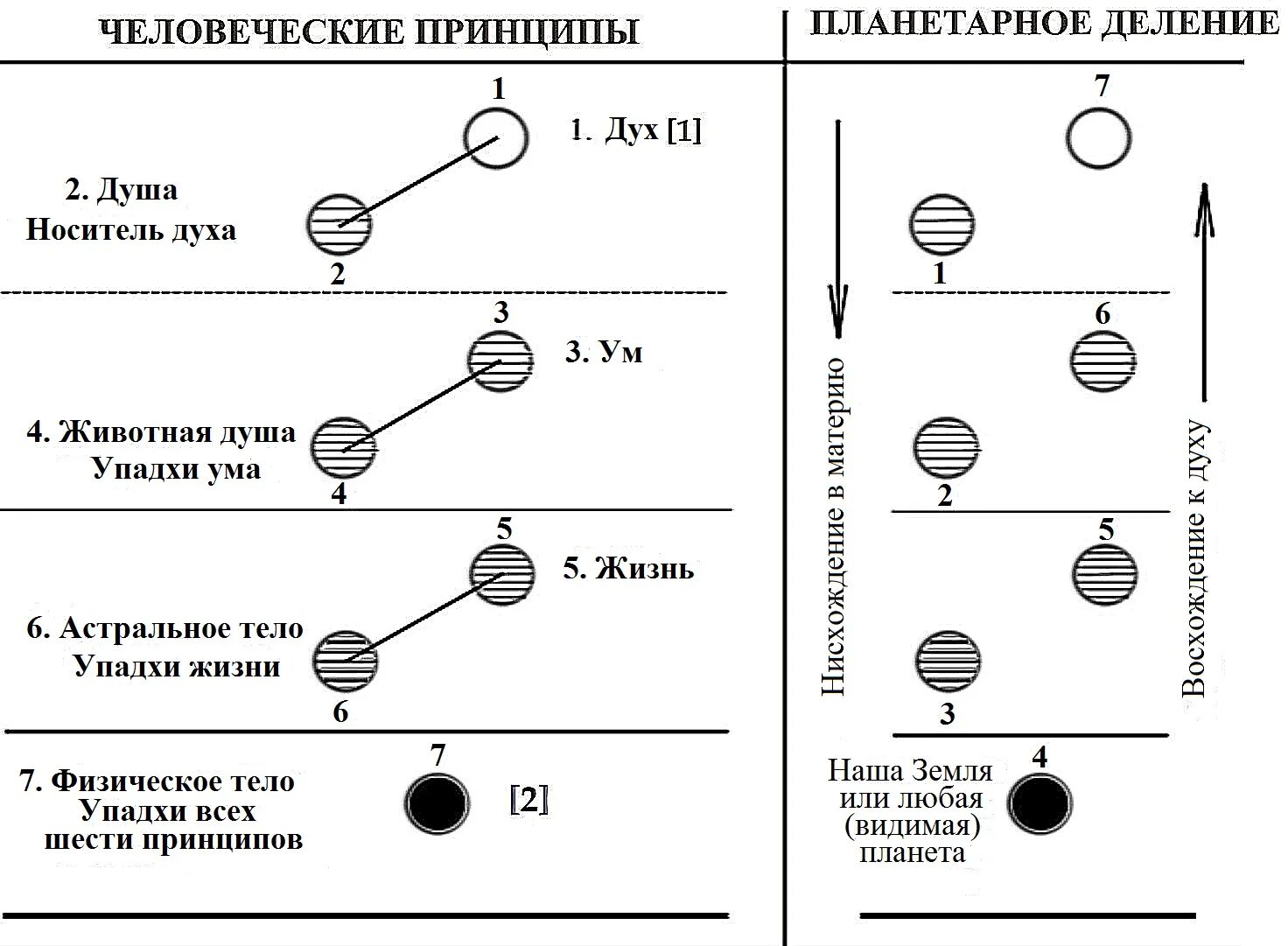 Принцип человеческой жизни. Блаватская Тайная доктрина том 1 книга 1. Тайная доктрина схема. Тайная доктрина диаграмма 1.